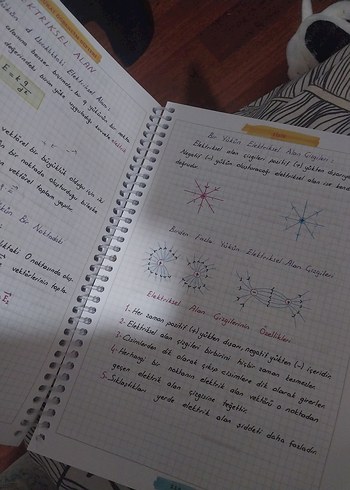 AYT Fizik ve Kimya Öğrencim Defteri Seti