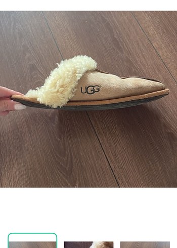 Ugg Bej Suet Terlik