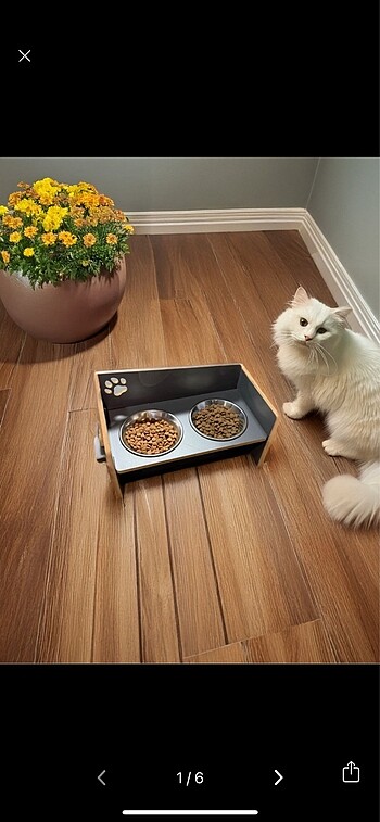 Kedi köpek mama ve su kabı