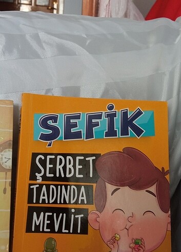  Beden Renk Eğitici Kitaplar 