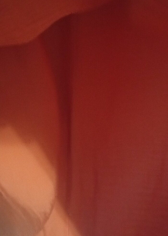 Koton Marka Kısa Etek - Görsel 3