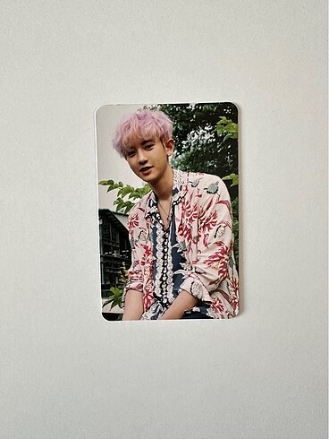 chanyeol pc