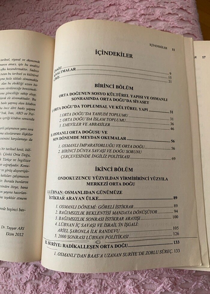 Orta Doğu Kitabı Tayyar Arı - Görsel 3