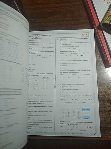  Beden Renk fundamentals 