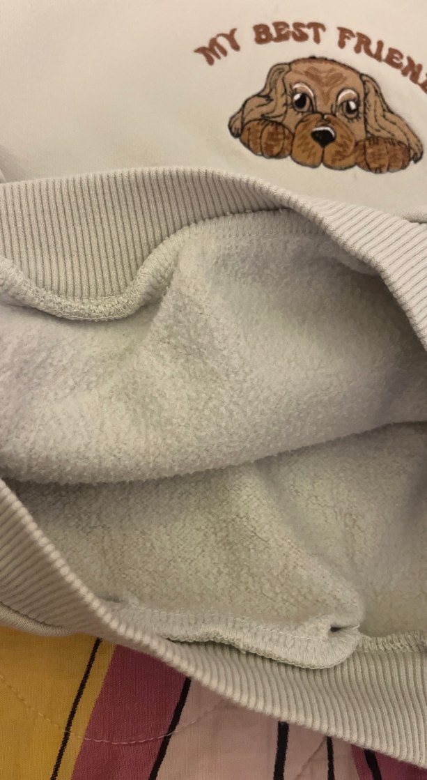 Bej Kapüşonlu Kız çocuk  Sweatshirt Köpek Baskılı - Görsel 3