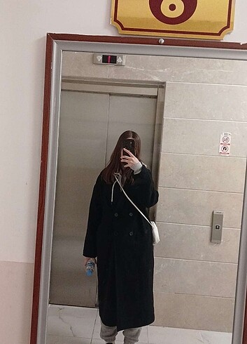 Diğer Siyah Kaban