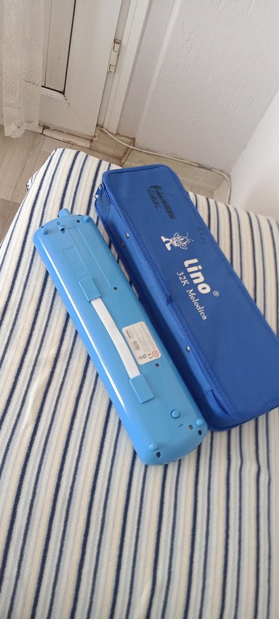 Mavi Melodika ve Taşıma Çantası - Görsel 3