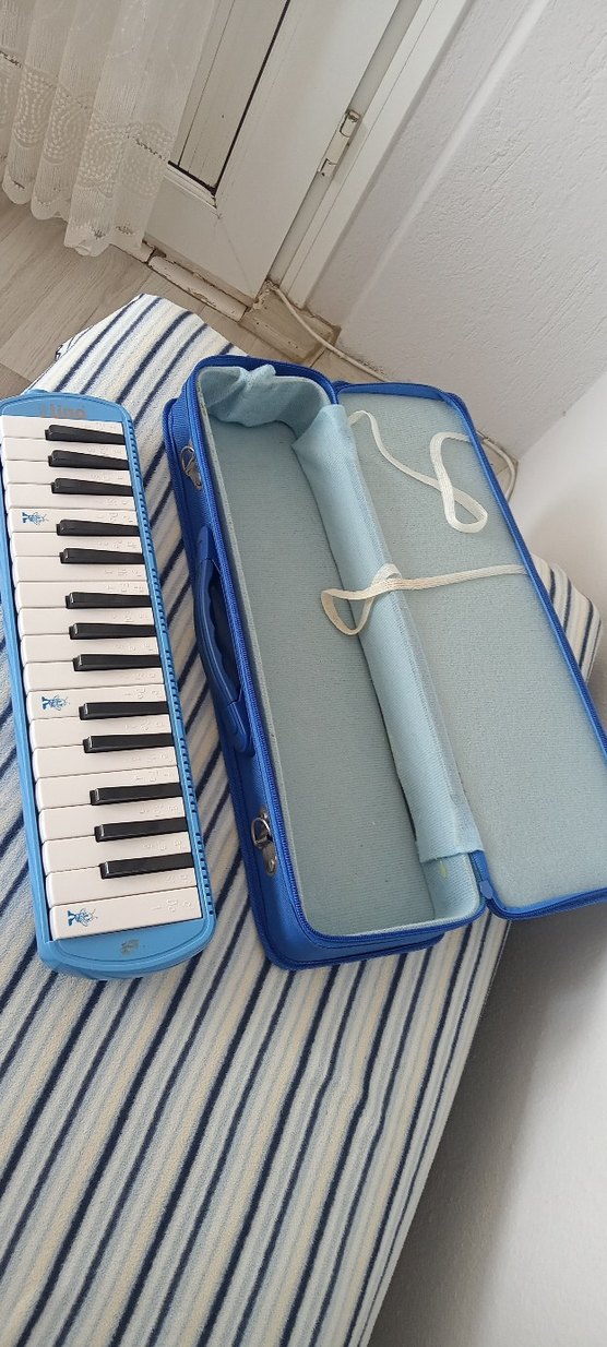 Mavi Melodika ve Taşıma Çantası - Görsel 2