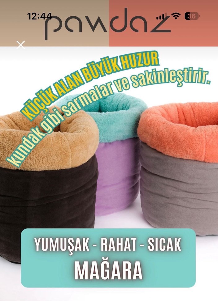 Gri Kedi Yatak ve Saklanma Alanı - Görsel 5