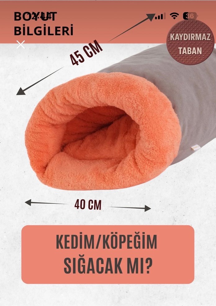 Gri Kedi Yatak ve Saklanma Alanı - Görsel 3