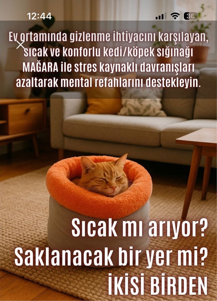 Gri Kedi Yatak ve Saklanma Alanı - Görsel 4