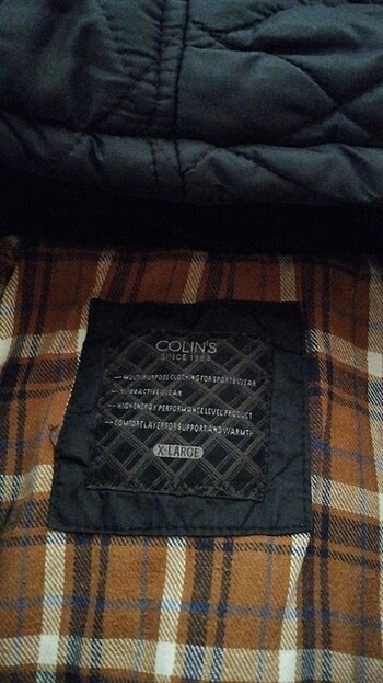 Colin's Xl bedene uygun mont Colins marka