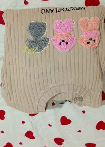 Kız Çocuk Bej Nakışlı Takım - Görsel 4