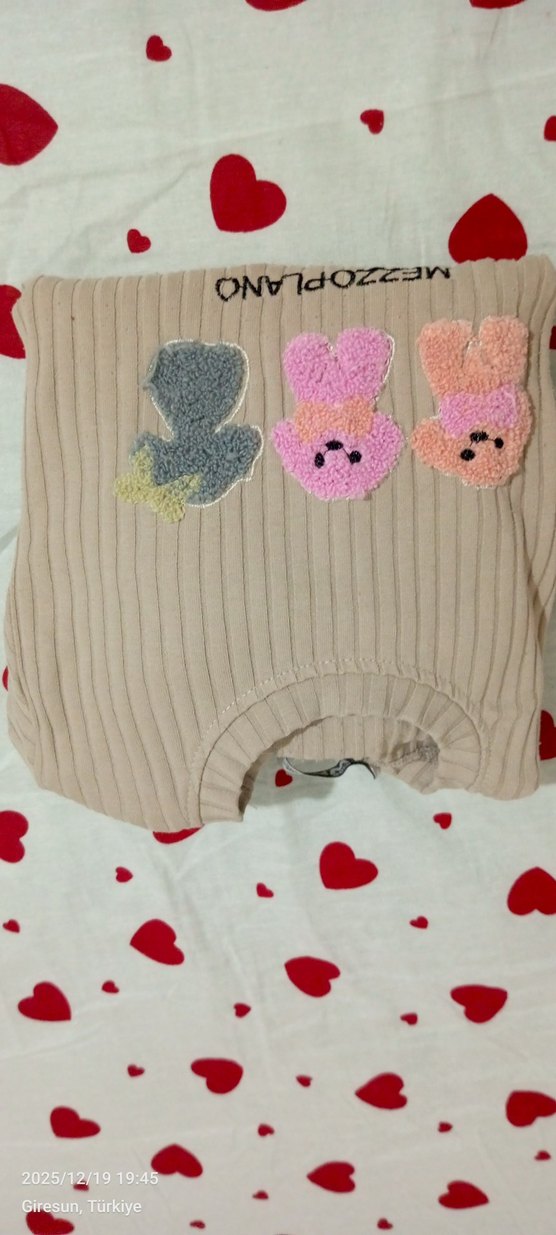 Kız Çocuk Bej Nakışlı Takım - Görsel 4