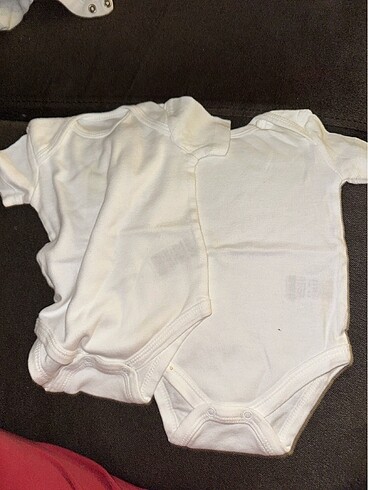 62 cm body