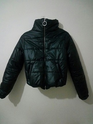 bomber mont