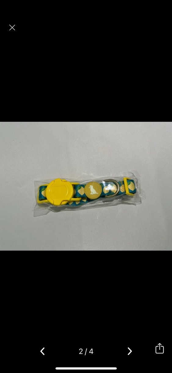 Köpek Boyun Tasması 2,5 CM - Görsel 2