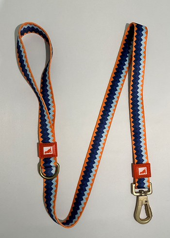 Renkli Zigzag Desenli Köpek Tasması - Görsel 2