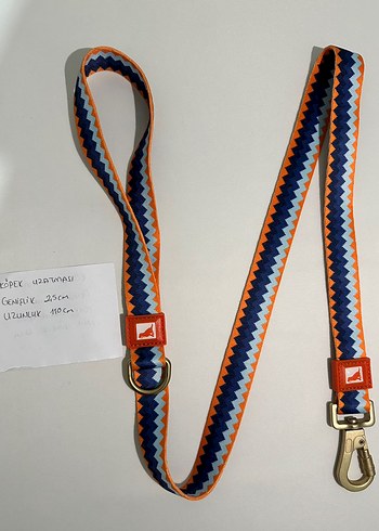 Renkli Zigzag Desenli Köpek Tasması - Görsel 4