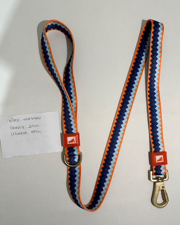 Renkli Zigzag Desenli Köpek Tasması - Görsel 4