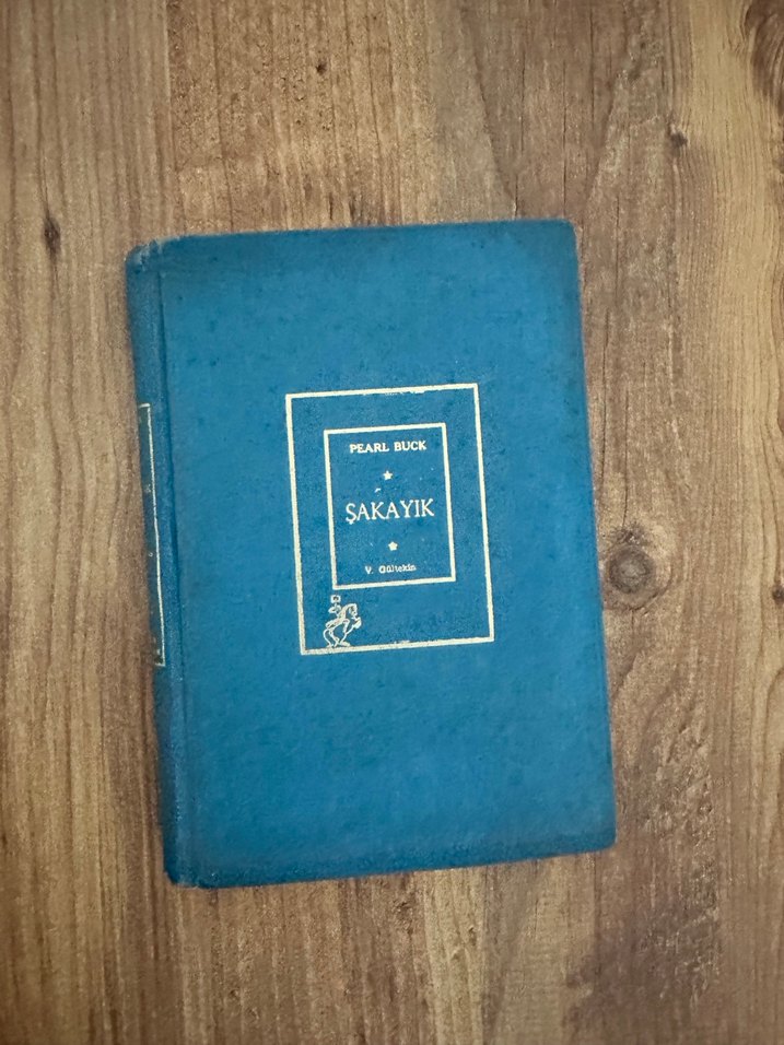 Şakayık - Pearl Buck Roman - Görsel 2