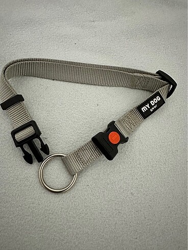 Köpek Boyun Tasması - Görsel 5