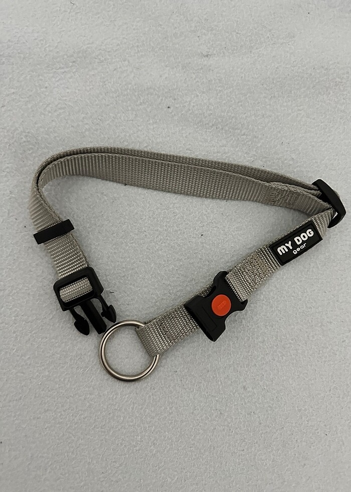 Köpek Boyun Tasması - Görsel 4