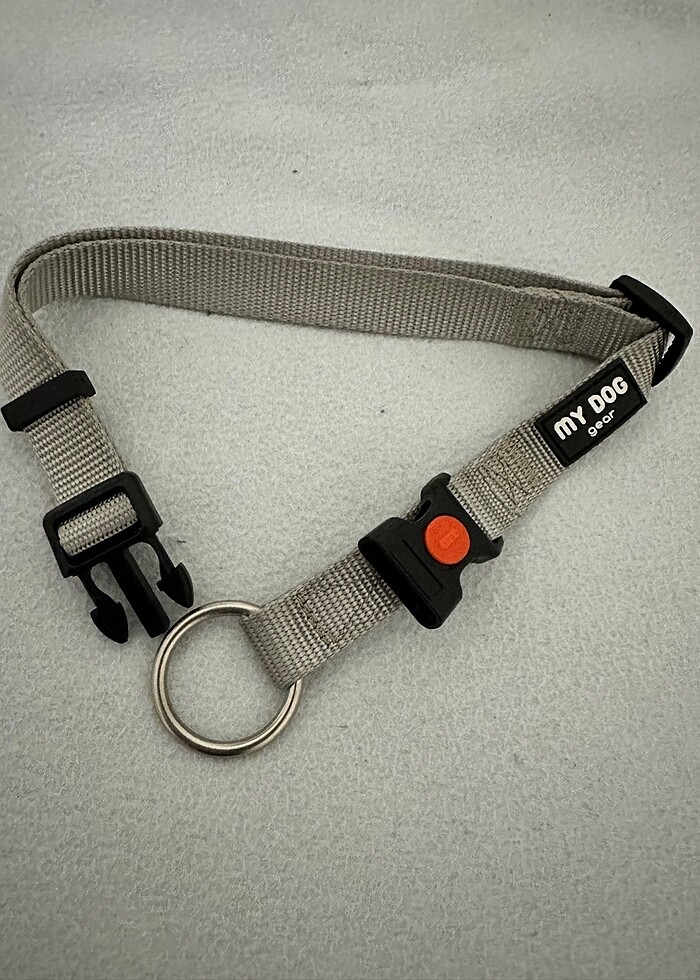 Köpek Boyun Tasması - Görsel 5