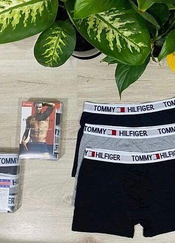 Boxer 2 paket 