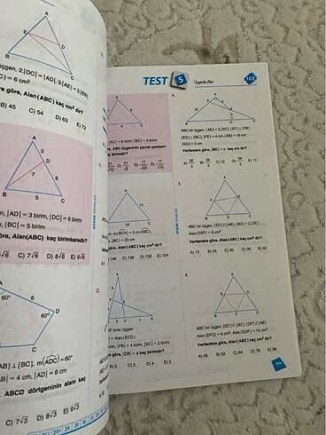 Beden Renk 9. Sınıf matematik soru bankası