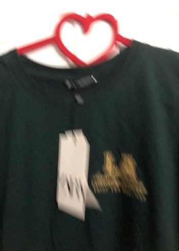 Zara Yeşil LA Baskılı Rahat Kesim Tişört