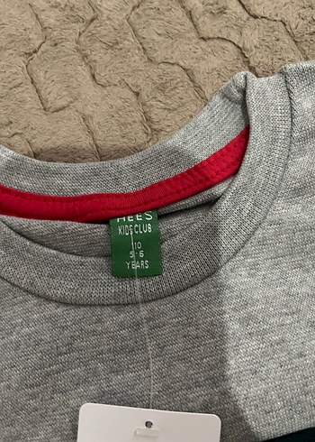 Erkek Gri Sweatshirt Renkli Çizgili - Görsel 2