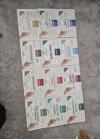 Beden Adli hakimlik şematik