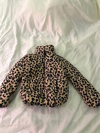 Leopar desen Mont