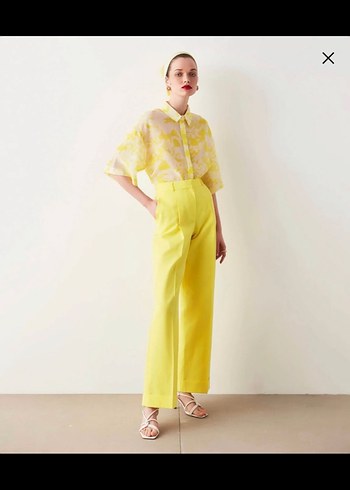 ipekyol s