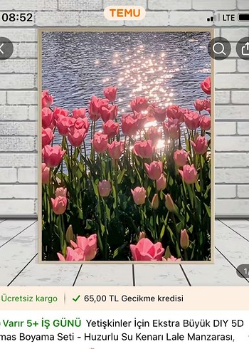 Pembe Çiçekli Su Kenarı Lale Manzarası Çerçevesi
