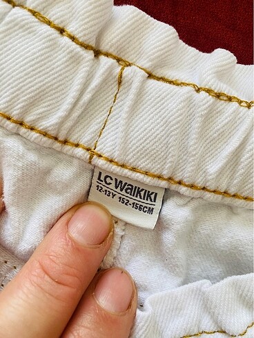 LC Waikiki 2 adet şort