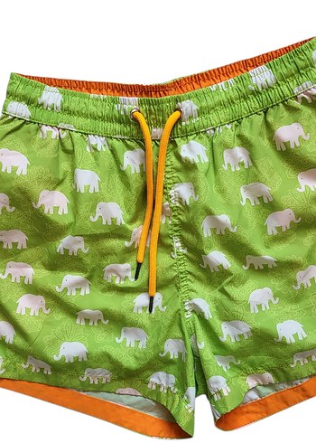 Dagi Fil Desenli  Erkek Mayo - Görsel 2