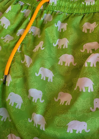 Dagi Fil Desenli  Erkek Mayo - Görsel 4