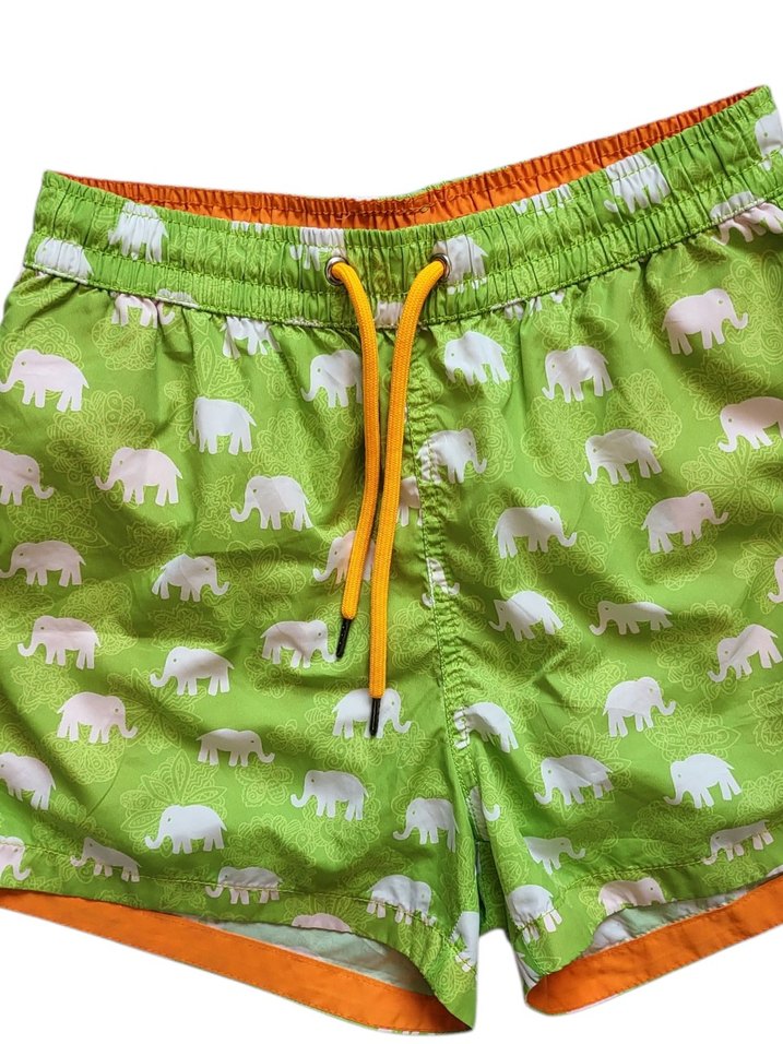 Dagi Fil Desenli  Erkek Mayo - Görsel 2