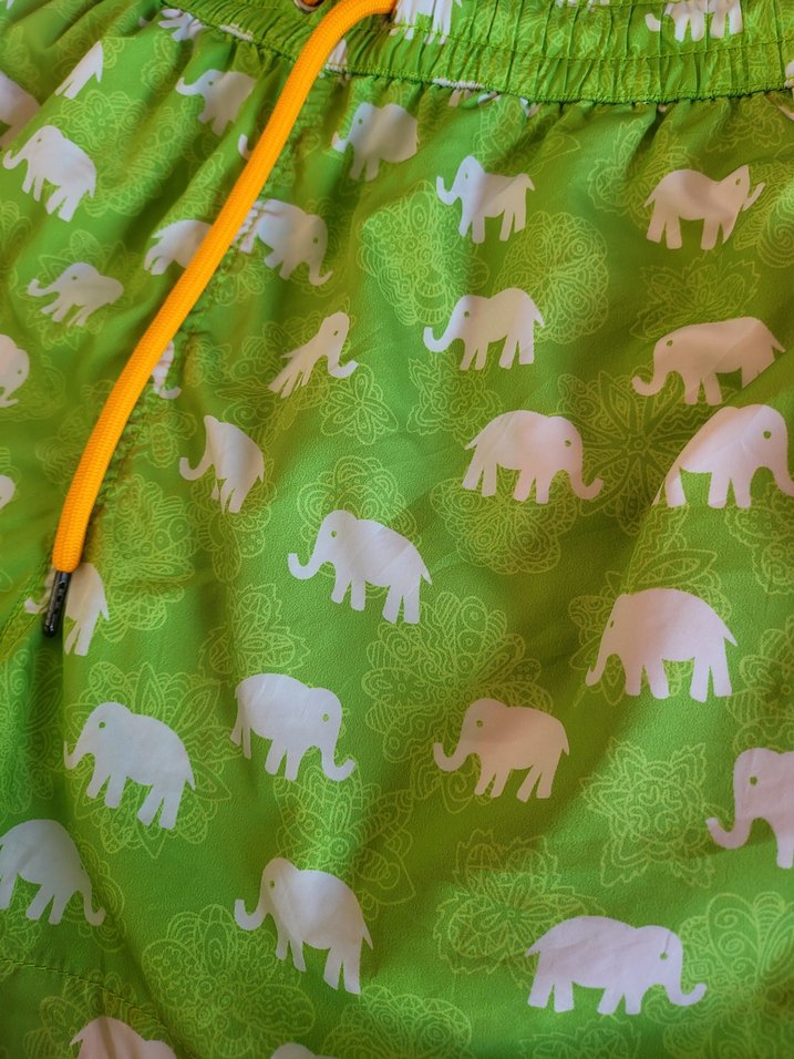 Dagi Fil Desenli  Erkek Mayo - Görsel 4