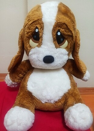 Konuşan Köpek