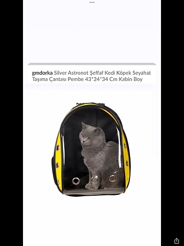 Astronot kedi çantası