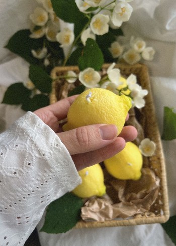  Beden Limon Şeklinde Sarı Mum