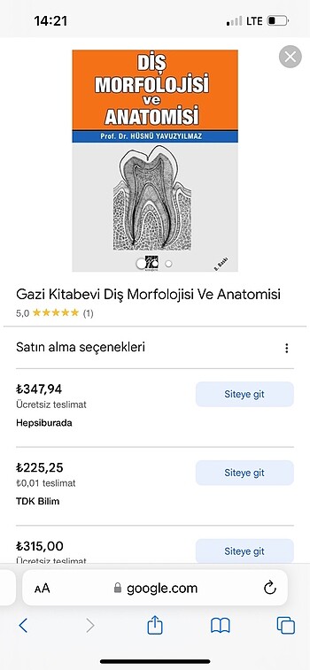  Diş morfolojisi ve anatomisi