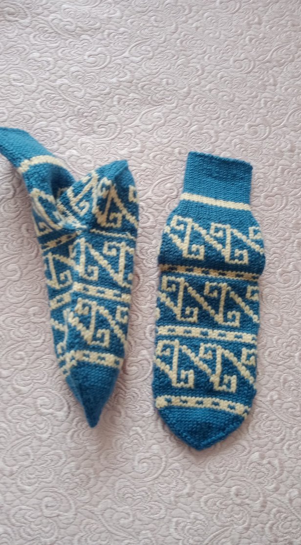 Mavi Desenli bayan - Görsel 2