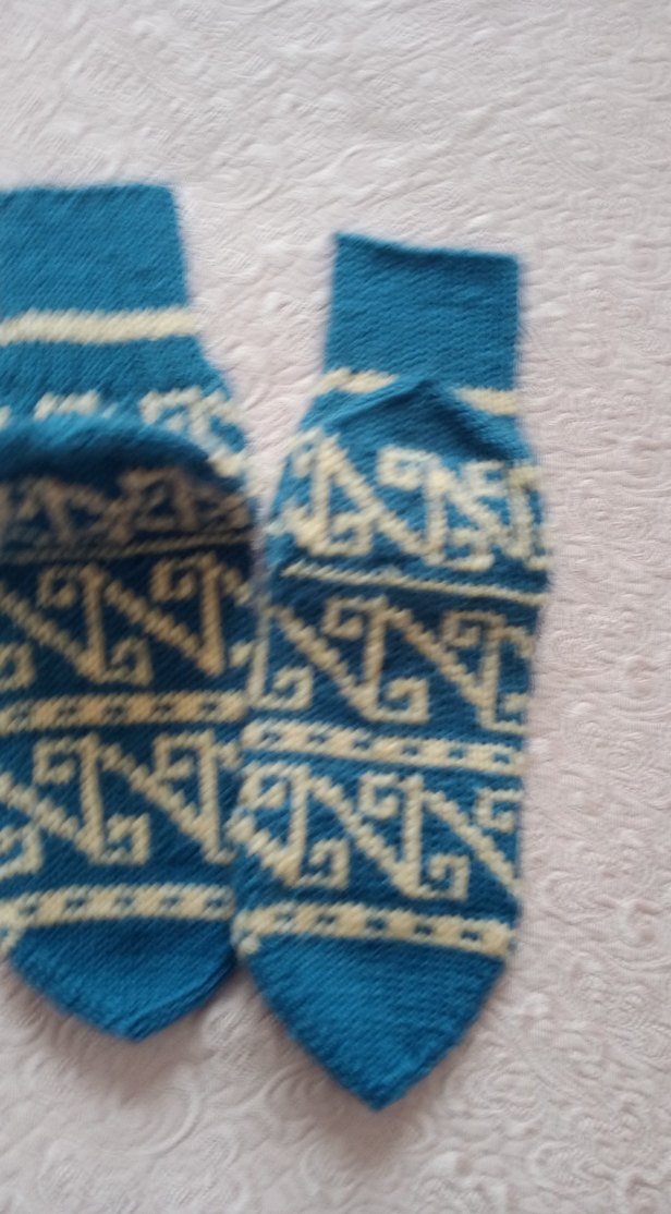 Mavi Desenli bayan - Görsel 5