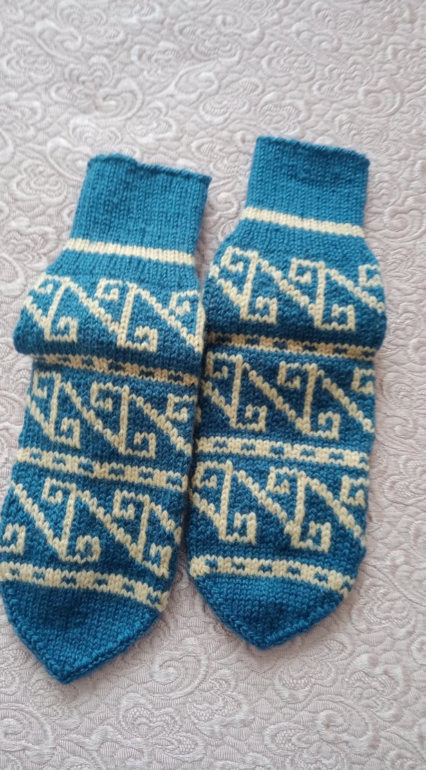 Mavi Desenli bayan - Görsel 3