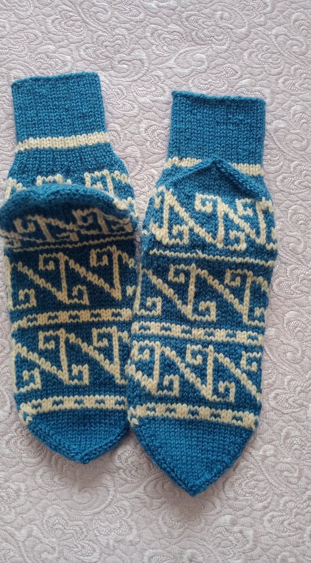 Mavi Desenli bayan - Görsel 4