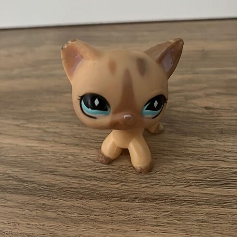lps miniş
